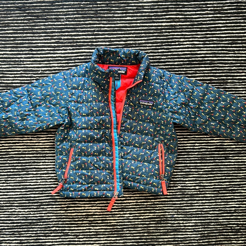 Patagonia 2T down coat